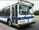 Travel by Bus